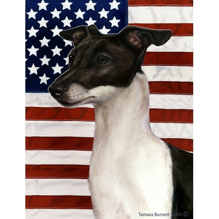 Italian Greyhound Black and White - Best of Breed  Patriotic II Garden
