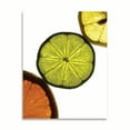 thumbnail image 2 of Gango Home Decor Contemporary Sliced Fruit III by Monika Burkhart (Printed on Paper); One 22x28in Fine Art Paper Giclee Print, 2 of 4