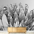 thumbnail image 3 of wall26 - Dewy Dandelion - Removable Wall Mural | Self-Adhesive Large Wallpaper - 100x144 inches, 3 of 6