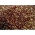 thumbnail image 4 of oneOone Cotton Silk Fabric Floral Texture Print Fabric BTY 42 Inch Wide, 4 of 4