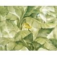 thumbnail image 2 of Hristova, Albena 24x20 Black Ornate Wood Framed with Double Matting Museum Art Print Titled - Tropical Canopy II Green, 2 of 4