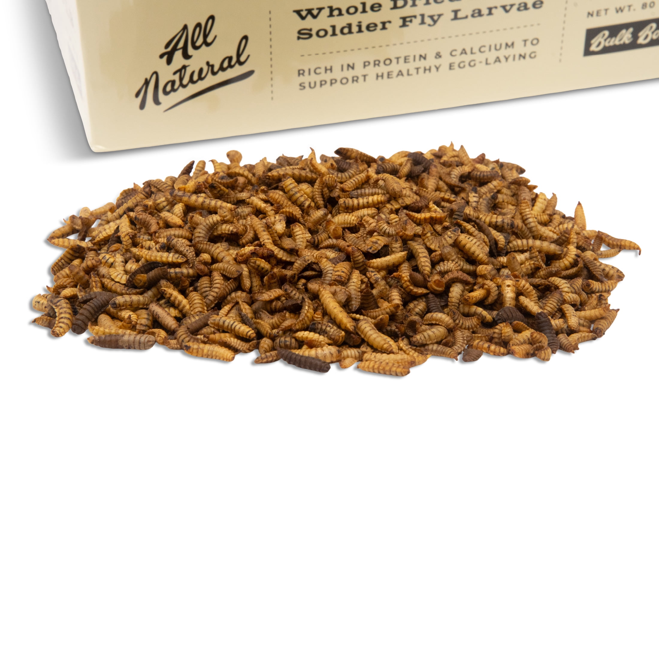 The Culinary Coop Soldier worms, Premium Treats for Chickens, 5 Pound Box