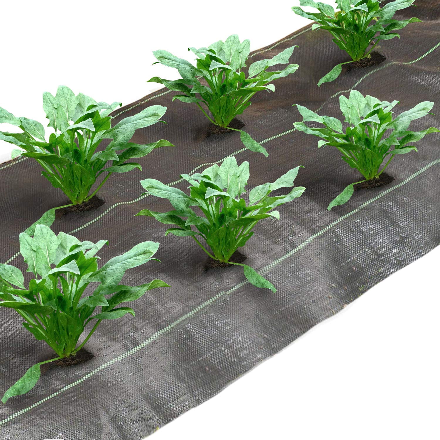 Agfabric All Purpose Folded 5x12ft Landscape for Spinach Heavy PP Woven Weed Barrier for Raised Bed,Soil Erosion Control and UV Resistant