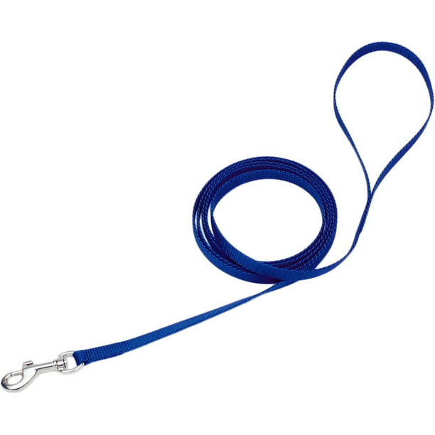 3/8" en Nylon Simple Pli 6' Training Dog Leash-Blue