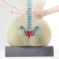 thumbnail image 4 of BKER Orthopedic Seat Cushion For Chair Ergonomic Coccyx Support Pillow With Design Pressure For Long Sitting Comfort, 4 of 4
