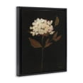 thumbnail image 3 of Stupell Industries French Country Dark Fall Flower Black Floating Frame Canvas Art, 17 x 21, by Haley Knighten, 3 of 8