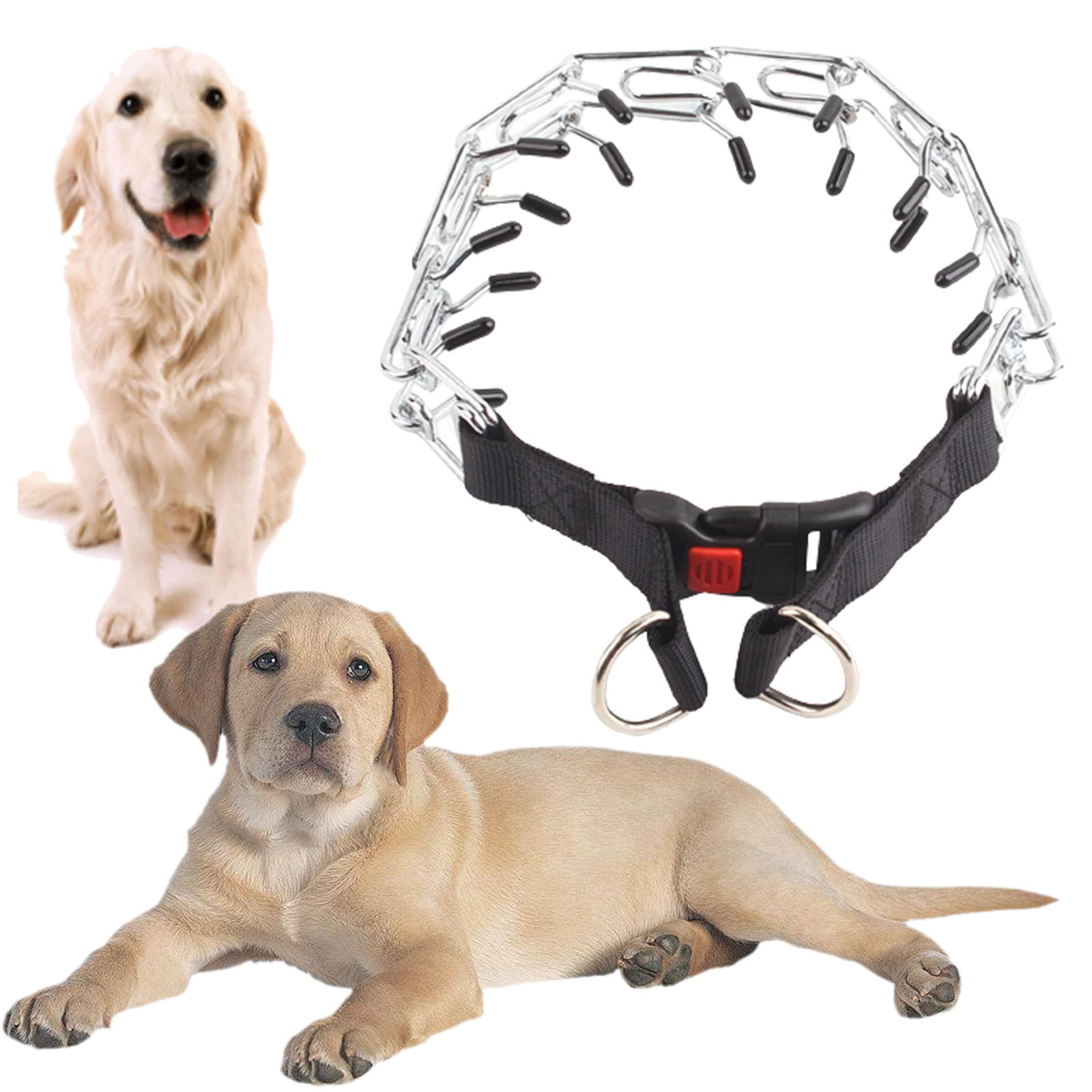 Collar De Perro Ajustable Y Correa Retráctil Para Perros Gra | Envío Gratis