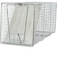 Animal Trap (32"x10"x12") - Best Humane Animal Live Trap for Possum