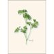 thumbnail image 2 of Juego de tarjetas de notas Earth Sky + Water – 8 tarjetas 9 × 13 cm, 2 of 6
