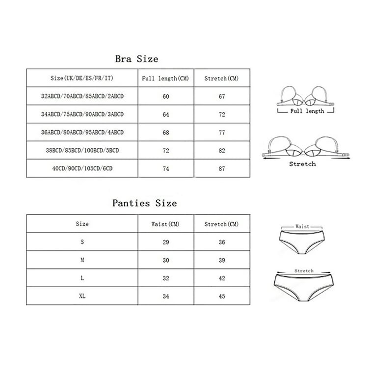 Women Push Up Cotton Bras Set Lace Lingerie Bra and Thong and Garter and  Stocking 4pcs 