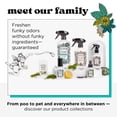 thumbnail image 3 of Spray de baño Poo-Pourri Before-You-Go Original Citrus 60 ml, 3 of 8