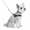 blue, variant on No Pull Dog Harness with Leash – Lightweight Breathable Reflective Pet Vest Harness for Small Medium Dogs, Adjustable No Choke Dog Harness for Walking