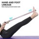 thumbnail image 4 of Pull Rope Band Chest Expander - Multifunction With Handle 8 Word Elastic Home Exercise Resistance Tube Bands For Home Gym Exercise Muscle Training Tub, 4 of 4