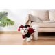 thumbnail image 5 of Disfraces de Halloween para perros, disfraz de Joker para gato, suéter bonito para perro, cachorro, perro pequeño, gatito, sudadera con capucha para Halloween, Navidad, festival, fiesta de cosplay, 5 of 5