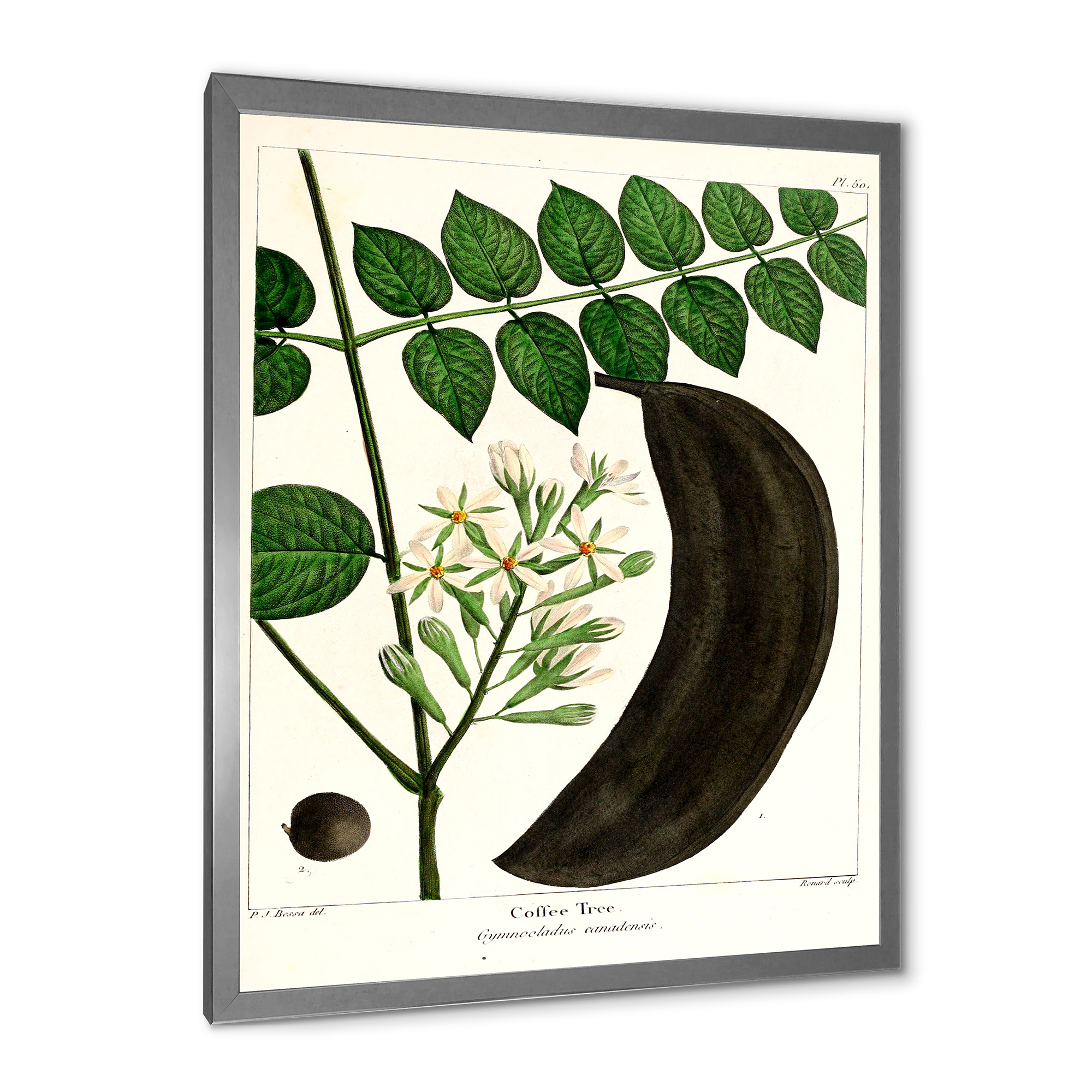 Designart 'Ancient Plant Life IX' Traditional Framed Art Print
