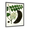 thumbnail image 2 of Designart 'Ancient Plant Life IX' Traditional Framed Art Print, 2 of 4