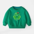 thumbnail image 5 of Bnwani Toddler Sweatshirt Cotton Crew Neck Long Sleeve Sweatshirt St. Patrick'S Day Printed Tops Pullover, 5 of 5