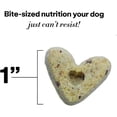 thumbnail image 4 of Wild Earth Superfood Dog Treats, Plant Based Dog Treats with Omega Acids, Prebiotics & Koji Protein, No Fillers, Veterinarian-Developed, Peanut Butter Flavor 3 Pack, 4 of 8