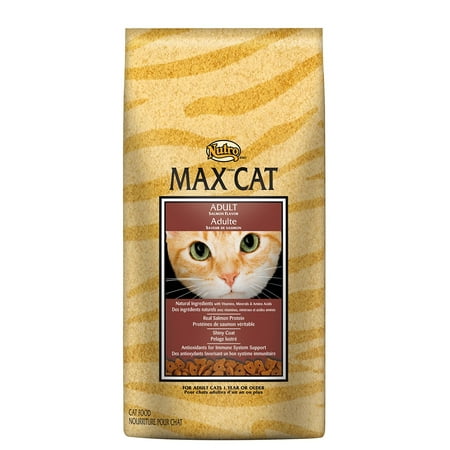 Is Nutro A Good Cat Food Is Nutro A Good Cat Food