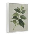 thumbnail image 3 of Stupell Industries Arabica Coffee Plant Leaf Floral Painting White Framed Art Print Wall Art, 11 x 14, 3 of 8