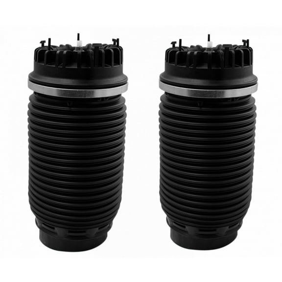 Rear Air Suspension Spring Bag Driver Passenger Pair 2pc for Ram 1500 Truck PAA80153
