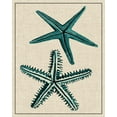 thumbnail image 2 of Vision Studio 15x18 White Modern Wood Framed Museum Art Print Titled - Coastal Starfish I, 2 of 4
