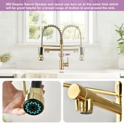 PROOX Spring Kitchen Sink Faucet Pull Down Sprayer Single Handle Modern Kitchen Faucets