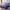 Blue Purple White, variant on Purple Owl Twin Quilt Set Cute Bird Bedspread Set Teens Florals Decor Coverlet SetWoodland Animal Bed Set