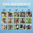 thumbnail image 6 of Best Pet Supplies Voyager Step-In Flex Adjustable Mesh Dog Harness, 6 of 9