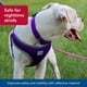 thumbnail image 3 of Arnés para Perro Coastal Comfort Suave Reflectante Ajustable Azul, 3 of 7