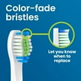 thumbnail image 4 of YUNCHI Replacement Toothbrush Heads 10 Pack Compatible with Bitvae Daily D2 Rechargeable Toothbrush, for D2 Toothbrush Heads Refills, White, 4 of 7