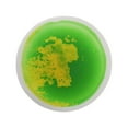 thumbnail image 2 of Suelos sensoriales líquidos, azulejos decorativos, juguetes de aprendizaje temprano, suelos sensoriales líquidos, estera decorativa para niños, regalo amarillo y verde Macarena Líquido Los Azulejos, 2 of 8