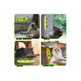 thumbnail image 4 of Catnip Hierba Para Gatos Juguetes Para Gatos 3 bolas Giratoria VERDE, 4 of 4