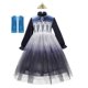 thumbnail image 1 of Vestido de princesa Elsa de Disney para niñas, vestido de baile de malla de noche estrellada, ropa de fiesta de carnaval para niños, disfraz de reina de la nieve Frozen 4T (etiqueta 120) Gao Jinjia LED, 1 of 2
