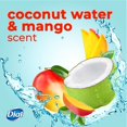 thumbnail image 3 of Dial 2X Concentrated Liquid Hand Soap, Coconut Water &amp; Mango, 11 Fluid Ounces, Pack of 3, 3 of 8