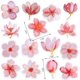 thumbnail image 1 of 225 PCS Sakura Scrapbook Stickers, Mini Size Cherry Blossom DIY Decoration Stickers for Scrapbooking, Notebooks, Laptop, Travel Case, Calendars (5 Box, 1 of 4