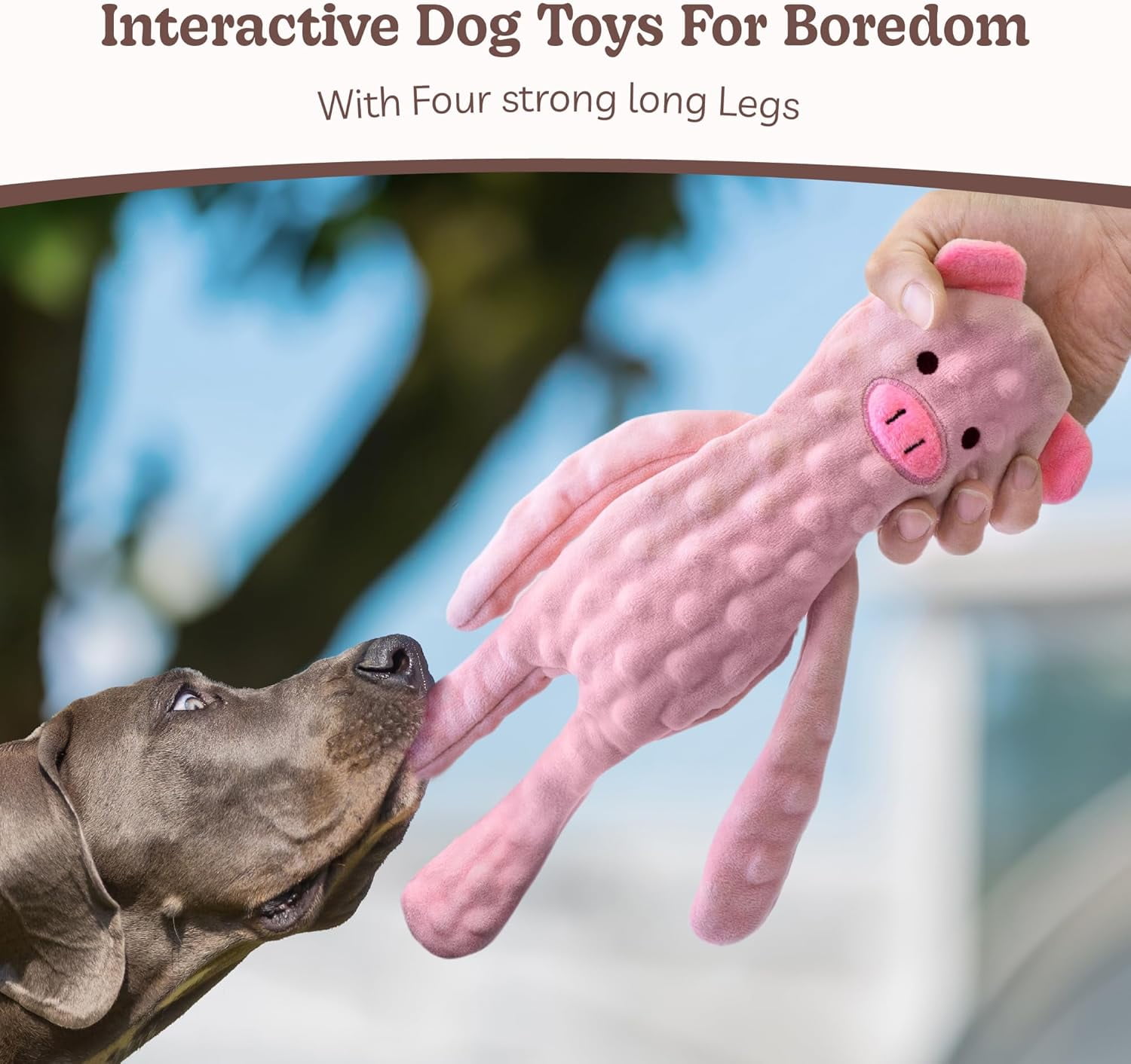 SHARLOVY No Stuffing Dog Toys 3 Pack, Crinkle Interactive Dogs Toy for Boredom, Puppy Toys for Teething to Keep Them Busy, Cute Squeaky Dogs Toy for Small, Medium, and Large Breed