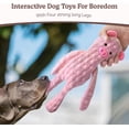 thumbnail image 6 of SHARLOVY No Stuffing Dog Toys 5 Pack, Crinkle Interactive Dogs Toy for Boredom, Puppy Toys for Teething to Keep Them Busy, Cute Squeaky Dogs Toy for Small, Medium, and Large Breed, 6 of 7