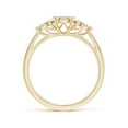 thumbnail image 2 of ANGARA Natural Composite Diamond Three Stone Ring in 14K Yellow Gold for Women (Size-3mm| Color-I-J| Clarity-I1-I2) | April Birthstone, Anniversary, Jewelry Gift for Women | Natural Diamond Ring, 2 of 8
