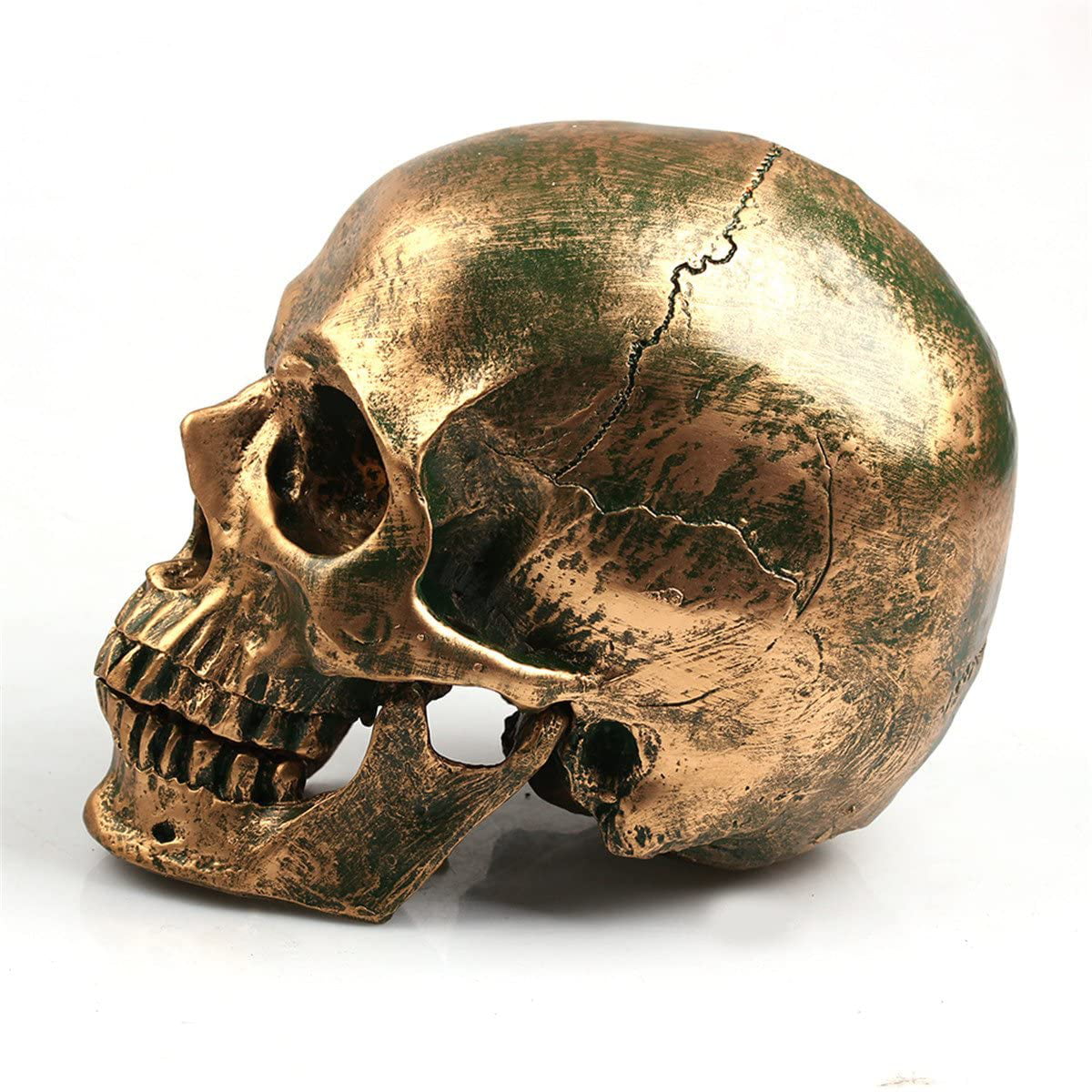 Home Party Decor Human Skull Resin Replica Medical Model Halloween Decor 