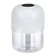 thumbnail image 2 of Luxtrada Mini Garlic Chopper, Electric Garlic Blender Portable Food Chopper Rechargeble Mini Garlic Mincer for Dicing, Ginger, Chili, Fruits, Onions Pepper and Baby Food 100ML&250ML, 2 of 9