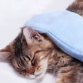 thumbnail image 5 of YfiDSJFGJ Glove Dog Towel for Drying Dogs, Cat Cleaning Gloves 6x8.66 Inch Ultra Absorbent Soft Pet Grooming Gloves,Coral Velvet Dog Bath Towel for Small Dogs and Cats,C, 5 of 6