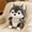 Gray, variant on Adorable Plush Stuffed Interactive Kitten Toys, Interactive Soft 7.9-Inch Funny Dog Toys for Boredom, Cuddly Decorative Puppy Toys to Keep Them Busy