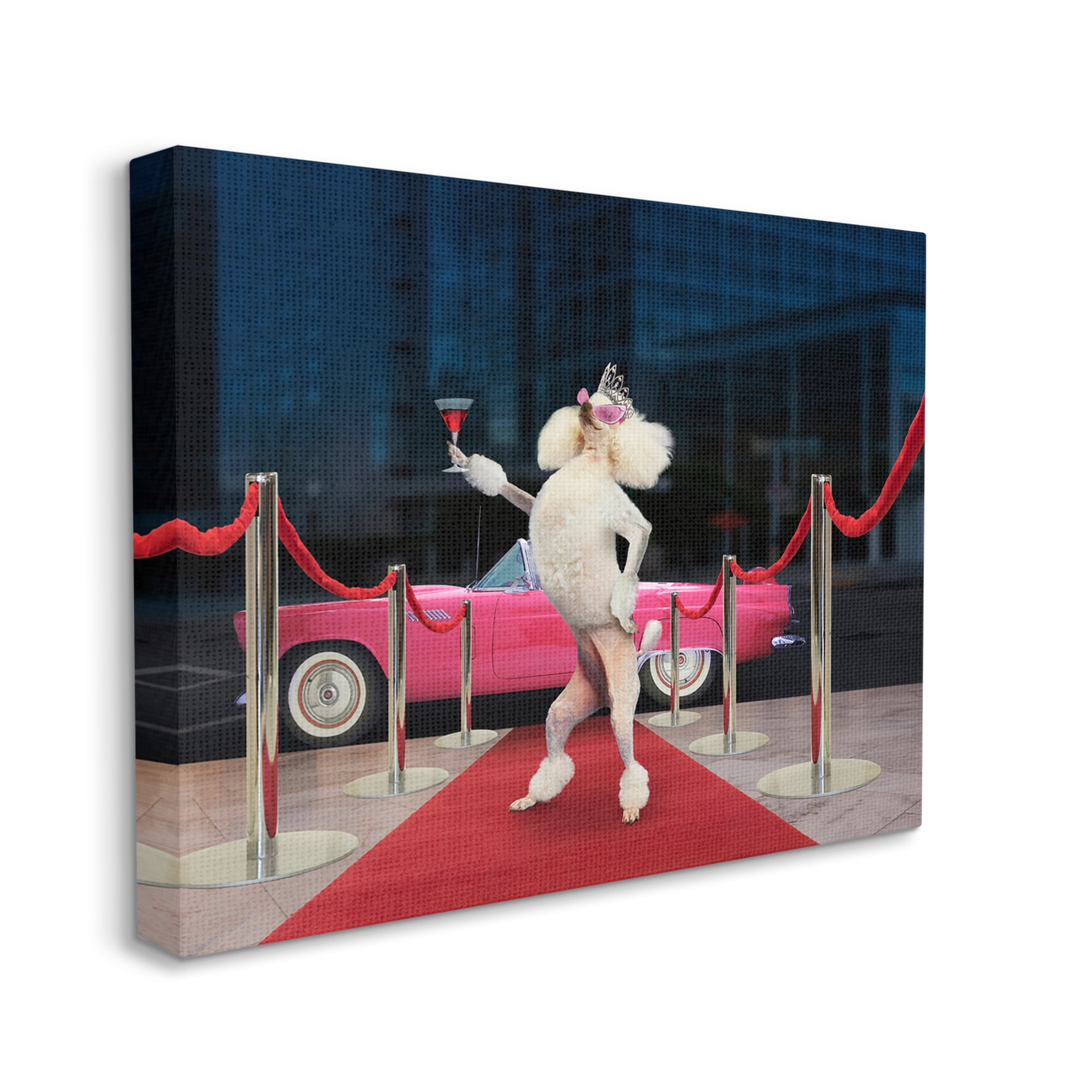 Stupell Industries Funny Red Carpet Poodle Animals & Insects Painting Gallery Wrapped Canvas Print Wall Art, 48 x 36