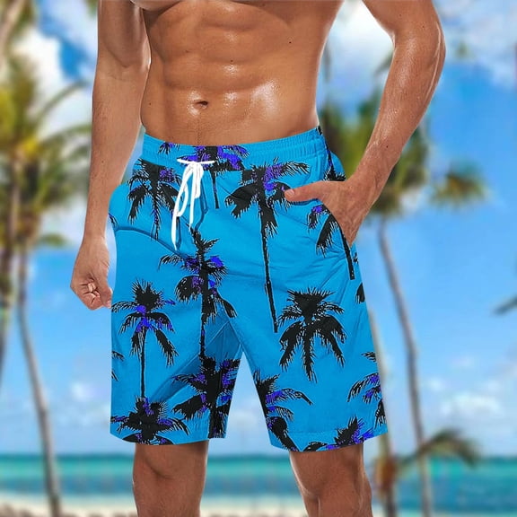 Ceisia Men's Elastic Waist Drawstring Loose Fit Beach Shorts with Pockets All-over Print Quick Dry Casual Summer Pants Sky Blue Gifts for Father 5X