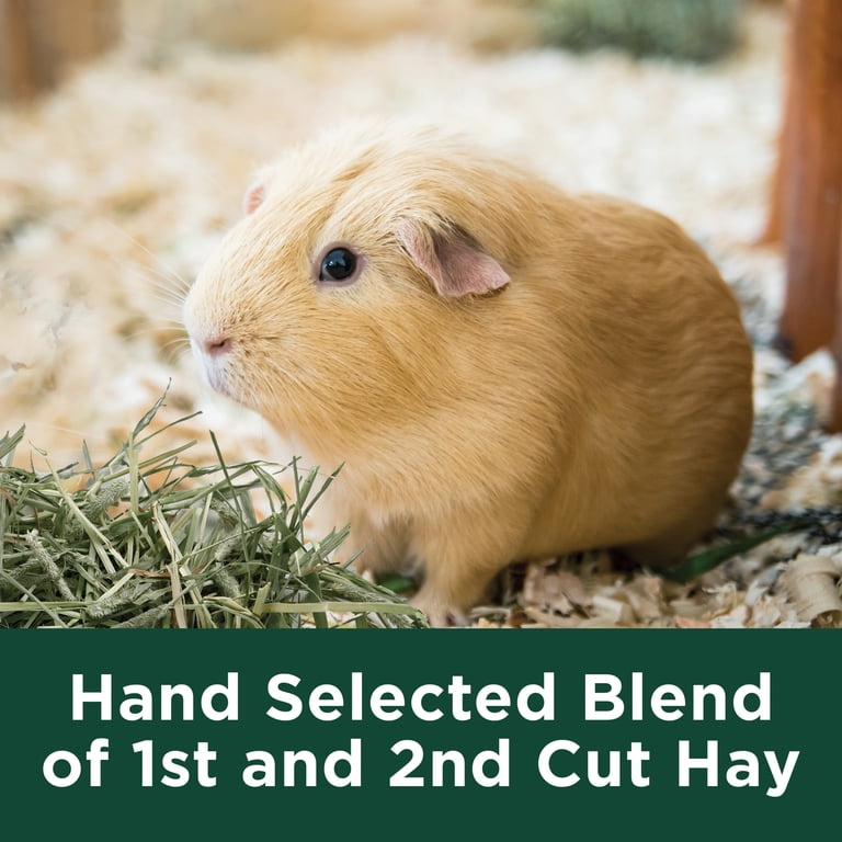 Kaytee Forti-Diet Timothy Hay, All Natural, 48oz photo 5