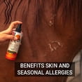 thumbnail image 3 of Gou Gou Pets Holistic Natural Derived Herbal Hot Spot Spray for Dogs, Cats and Horses: Fast Acting to Soothe Hot Spots, Relieve Irritated Skin, Rash, and Seasonal Allergies - Made in USA - 8 oz, 3 of 5