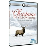 Nature: Christmas in Yellowstone (DVD), PBS (Direct), Holiday