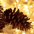 thumbnail image 4 of Luces navideñas HISHINY, 100 unidades, pequeñas, transparentes, 32 pies (10 m), 4 of 6