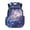Galaxy Axolotl, variant on Aplkyhs Capybara Watermelon Backpack for Students 12-18 Durable 17 Inch School Bookbag for Middle High School Teens Outdoor